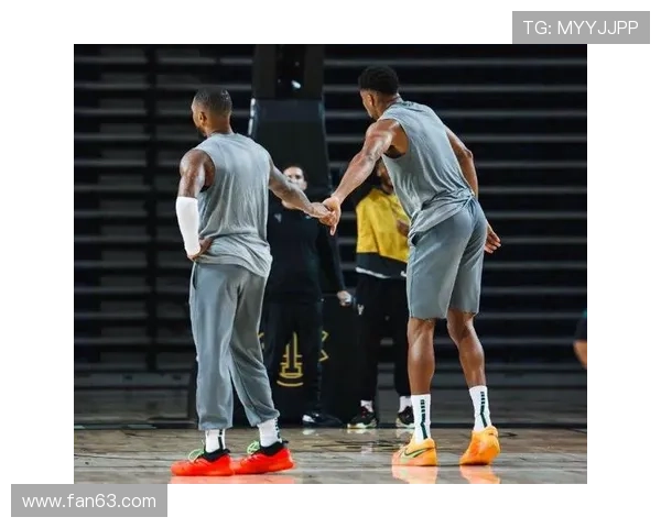 湖人休赛期留詹全力追字母哥